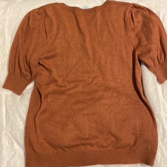 NWT Loft Brown V-Neck Short Sleeve Ribbed Hem Size Women Petite Small Retail $49 - Picture 5 of 6